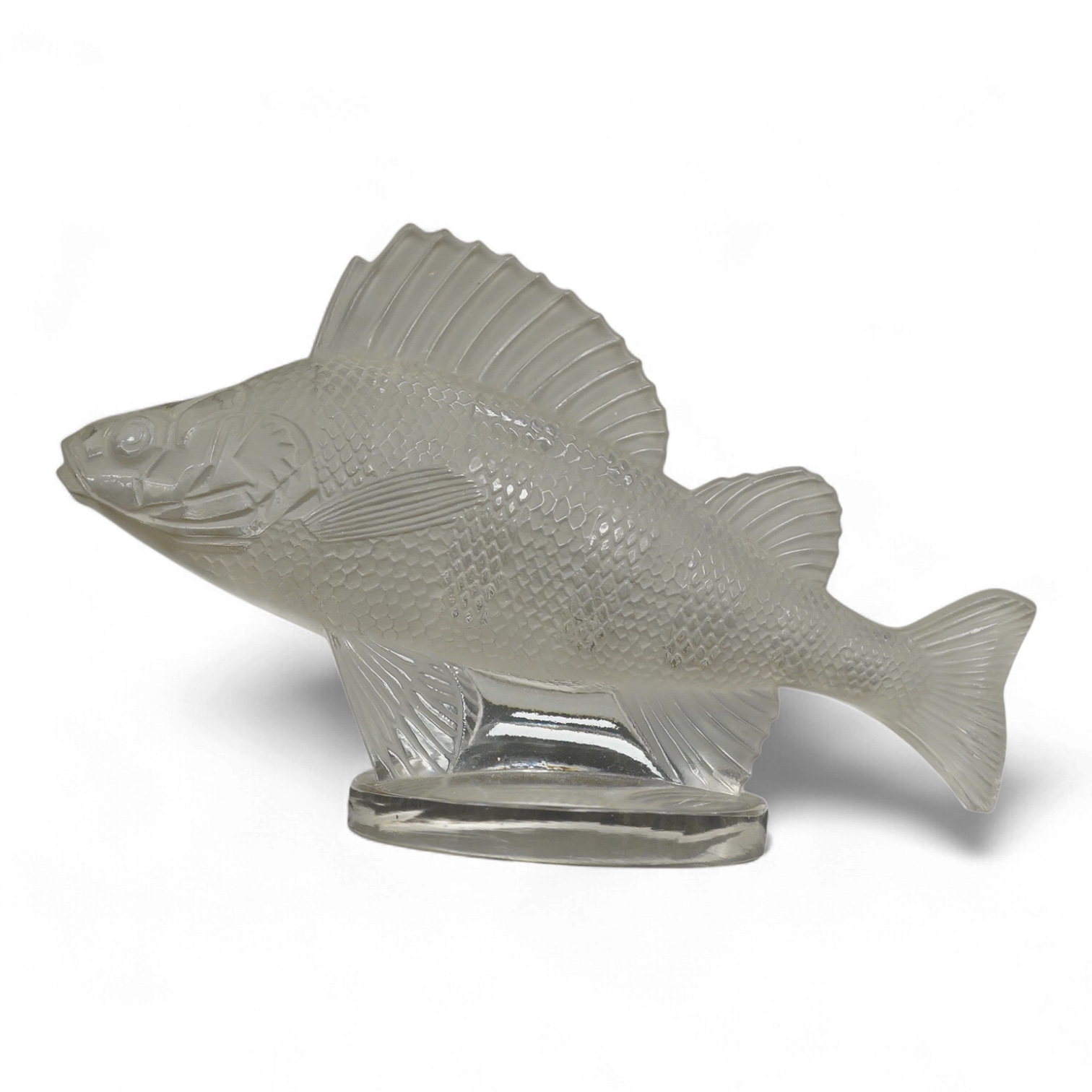 A Lalique glass perch fish car mascot, with original box, 17cm wide